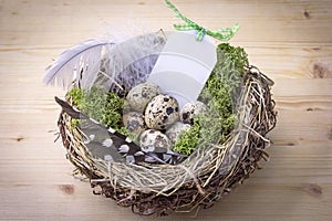 Bird nest on a table with eggs and feather