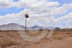 Bird Nest on telegraph mast namibia Africa Panorama Background