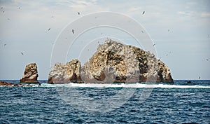 Bird nesting area at Ballestas-island