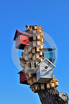 Bird nests in Hermelinsparken in LuleÃ¥