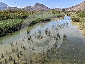 Bird nests on a river with view of the mountain photo