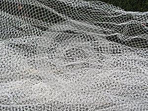 Bird Netting