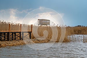 Bird observation platform by lake Zuvintas in Lithuania, birdwatching, wildlife, nature reserve