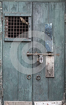 Bird on an old weathered door with metal locks