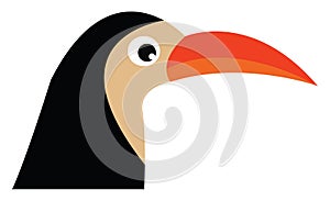 Bird with orange beak vector or color illustration