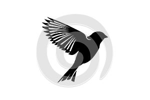 Flying Bird Design Wildlife Feather Graphic Design Silhoutte photo