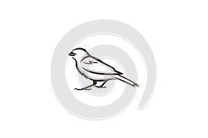 Bird Outline Design Wildlife Feather Graphic Design Silhoutte photo