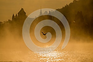 A bird is outlined against the mist and golden sunset with a castle in the back