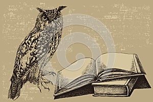 Bird Owl with an open book. Hand-drawn, vector illustration