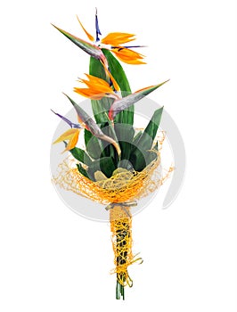 Bird of paradise bouquet