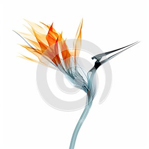 Bird Of Paradise X-ray: Stunning 3d Illustration On White Background