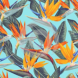 ,Seamless pattern with tropical flowers and leaves of Strelitzia Reginae. Realistic style, hand drawn, vector photo