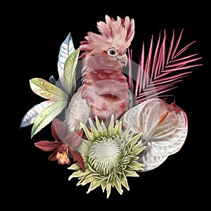 Bird of Paradise. Tropical bouquet. Pink cockatoo, palm leaves, proteus and orchids. realistic illustration.