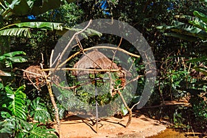 Bird Park in Brazil vegetation