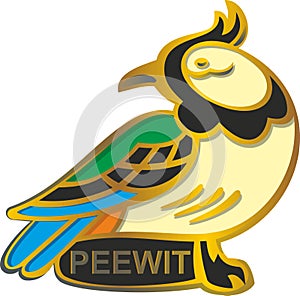 Bird peewit