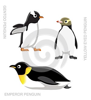 Bird Penguin Set Cartoon Vector Illustration