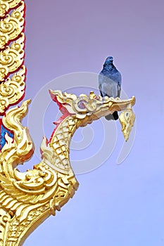 A bird is perched on a bouquet of a church in a temple in Thailand.