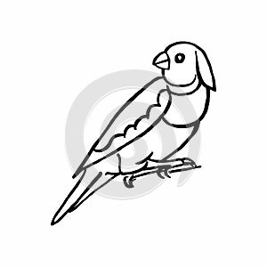 Bird perched on tree trend design