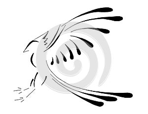 Bird Pheonix Landing, Stylized Line Art