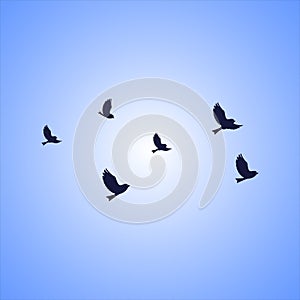 bird pictute icon isplated on a blue background