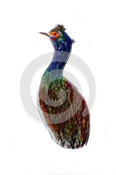Bird pitcher, flagon. Elegant painted bird. photo