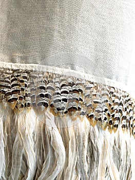 Bird plumes textile background