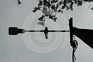 Bird on pole. Silhouette of bird sitting on crossbar. Raven lurked