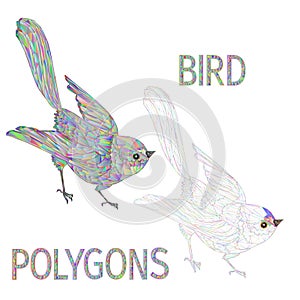 Bird polygons multicoloured and outline vector illustration editable hand draw