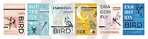 Bird posters. Art music festival invitation layout. Graphic book template or cover. Zoology museum. Sketch butterfly