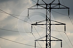 Bird of prey black kite sitting on rusted metal beams of a power line tower against the cloudy sky