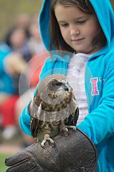 Bird of prey and child