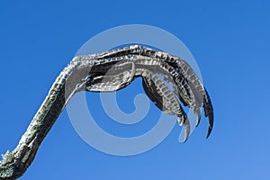Bird of prey claw on blue sky background