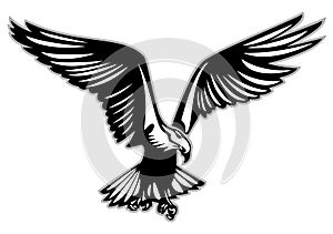 Bird of prey in flight vector illustration