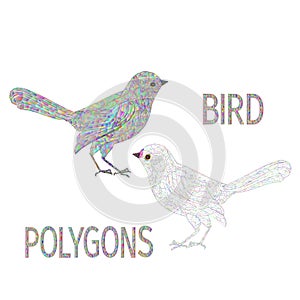 Bird rainbow  polygons multicoloured and outline vector illustration editable hand draw
