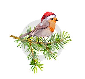 Bird in red holiday hat on christmas tree branch. Watercolor