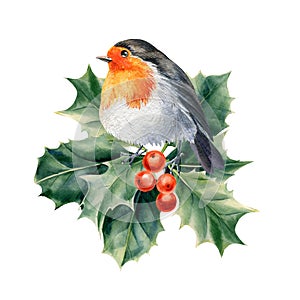 bird robin on a branch watercolor on a white isolated background. winter holiday card