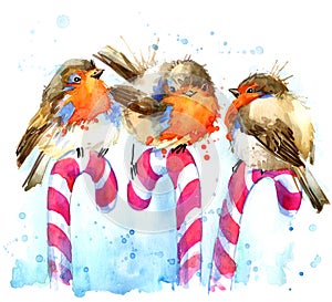 Bird robin illustration. bird robin and Christmas candy watercolor background.