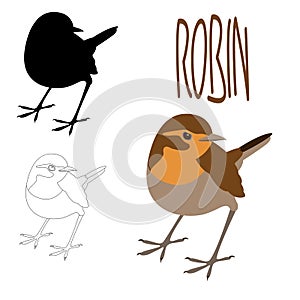 Bird robin vector illustration flat style black silhouette
