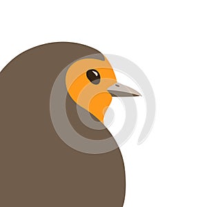 Bird robin vector illustration flat style profile