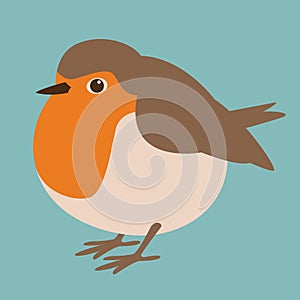 bird robin vector illustration flat style profile