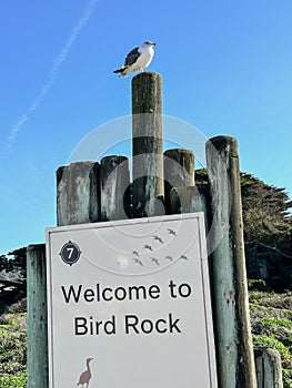 Bird Rock sign along 17 Mile Drive in California