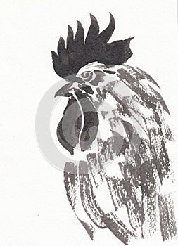 Bird rooster closeup artwork portrait. China ink hand drawn on watercolour paper texture