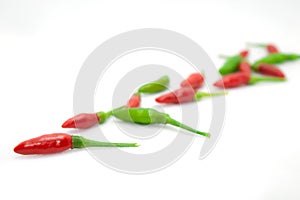 Bird`s Eye Chilli Green and Red on White Isolated Background