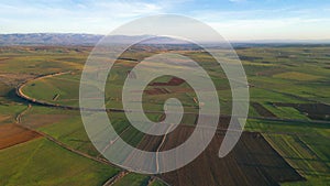 Bird's eye view of agricultural area and green wavy fields in sunny day. Agronomic industry. Cinematic aerial shot
