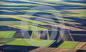 Bird`s Eye View of the Agricultural Parcel.