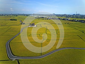 Bird`s eye view of a curvy country road winding through golden rice fields in Yilan Ilan