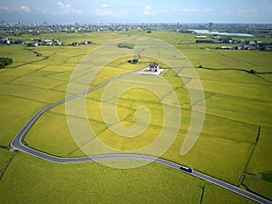 A bird`s eye view of a curvy country road winding through golden rice fields in Yilan Ilan photo