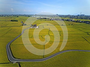 Bird`s eye view of a curvy country road winding through golden rice fields in Yilan Ilan photo