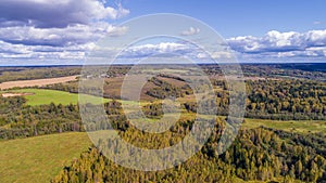 Bird`s-eye view of the fields and forest