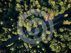 Bird's eye view of a forest road, no cars. Aerial, drone photography taken from above in in summer. Surroundings